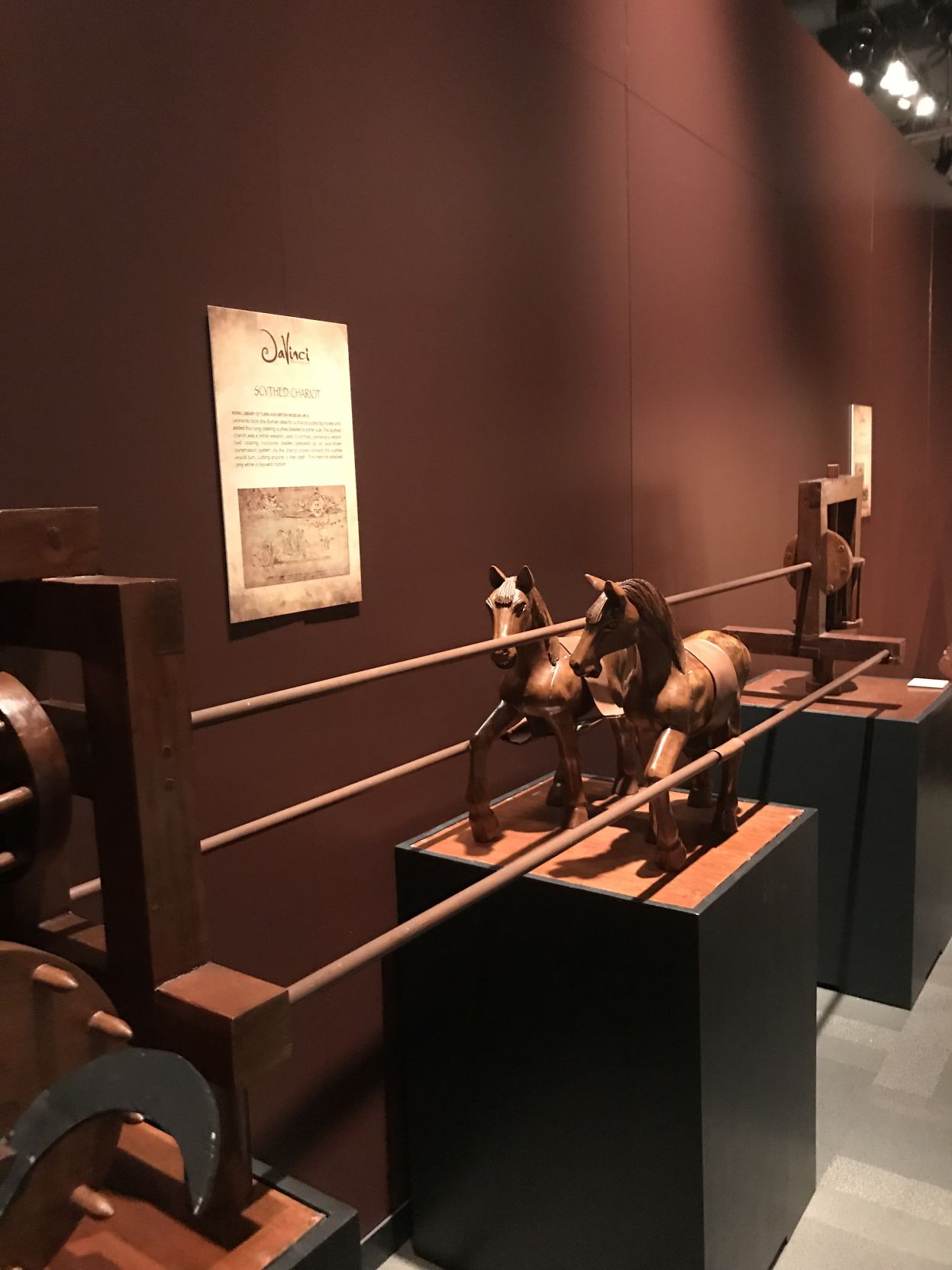 horses